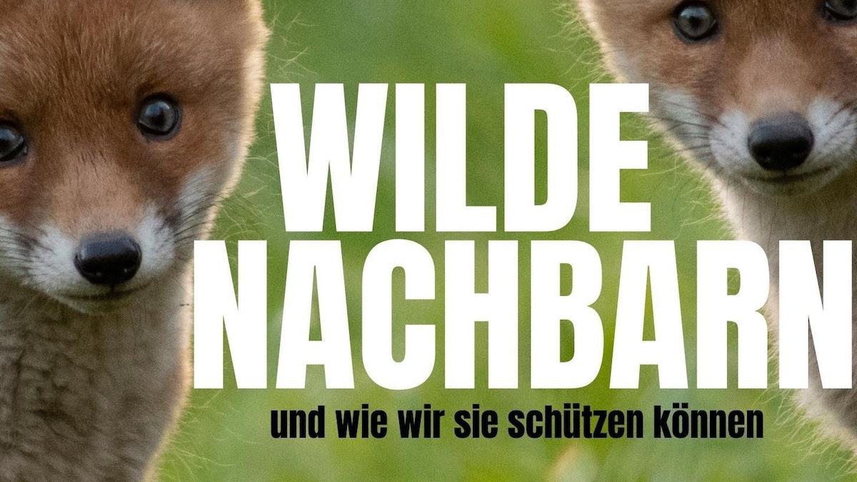 Wilde Nachbarn Biodiversität Köln Ratsgruppe KLIMA FREUNDE & GUT